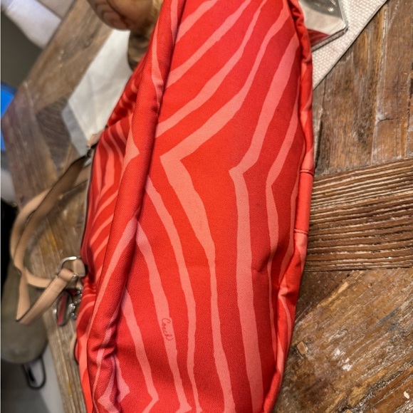 Coach Zebra - Picture 11 of 12